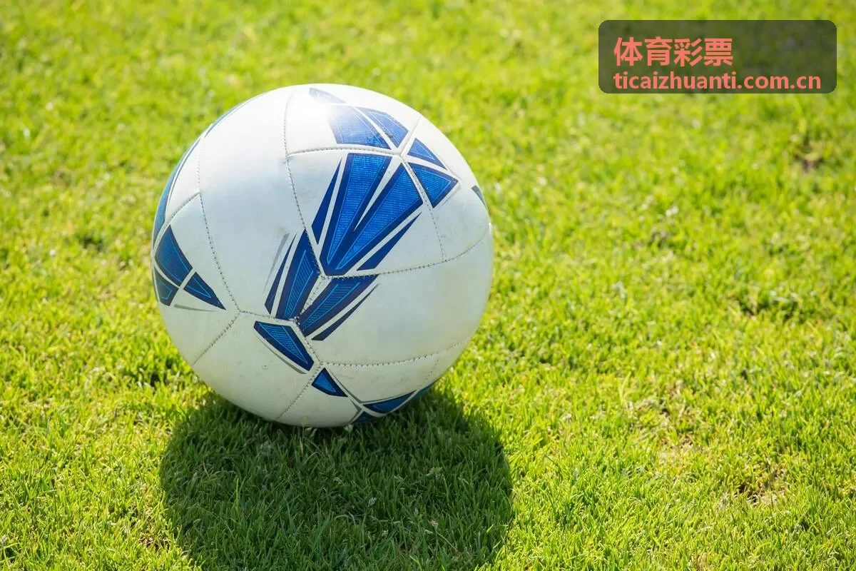 体育彩票排列三玩法入口